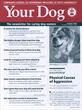 Your Dog